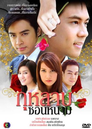 Kularb Son Narm (2010) poster