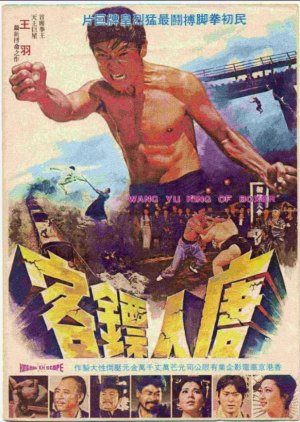 Wang Yu, King of Boxers (1973) poster