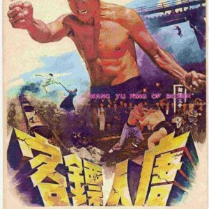 Wang Yu, King of Boxers (1973)