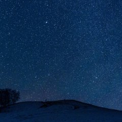 Fly Close to the Ground Chinese TV Program photo
