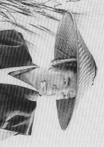 Sorekara no Musashi Japanese Drama(1964) photo