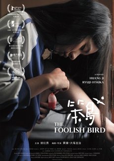 The Foolish Bird (2017) poster