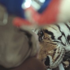 Garden, Zoological Korean Movie photo