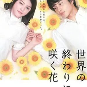 Flowers Blooming at the End of the World (2012)