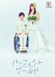 Perfect World japanese drama review