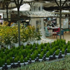 Sticky Night Korean Movie photo