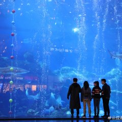 Cheng Du Stroll Chinese Movie photo