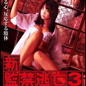 Escape Captivity 3: The Beautiful Sisters' Law of Submission (2010)