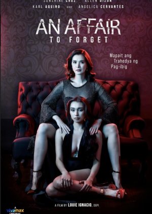An Affair to Forget (2022) poster