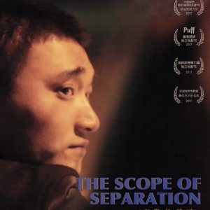 The Scope of Separation (2017)