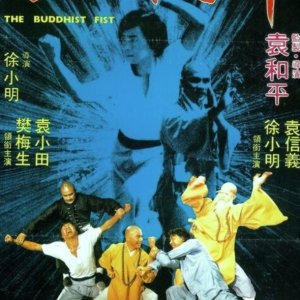 The Buddhist Fist (1980)