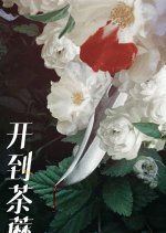 Kai Dao Tu Mi Chinese Drama photo