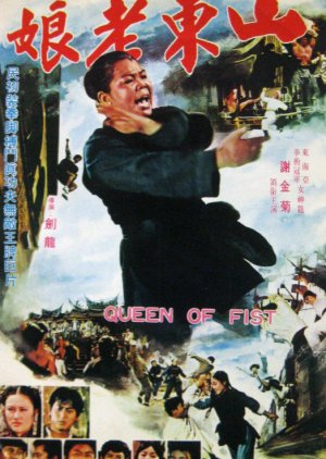 Queen of Fist (1973) poster