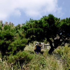 In the Name of the Son Korean Movie photo