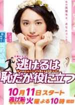 The Full-Time Wife Escapist Japanese Drama photo