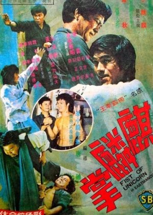 Fist of Unicorn (1973) poster