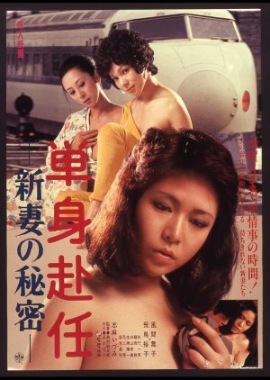 Secret of Newlywed Wife (1980) poster