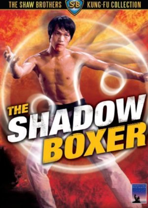 The Shadow Boxer (1974) poster