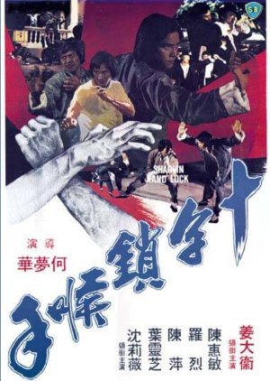 Shaolin Hand Lock (1978) poster