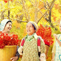 Jinsei, Irodori Japanese Movie photo