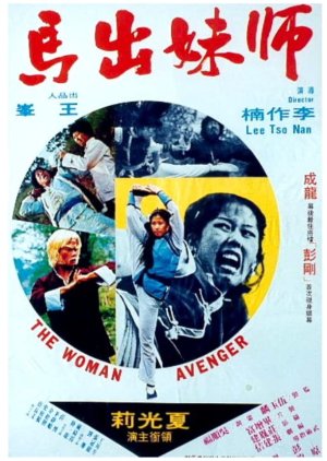 The Woman Avenger (1980) poster