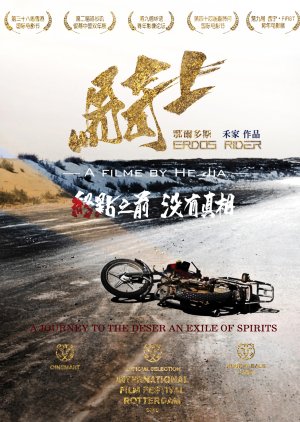 Erdos Rider (2015) poster