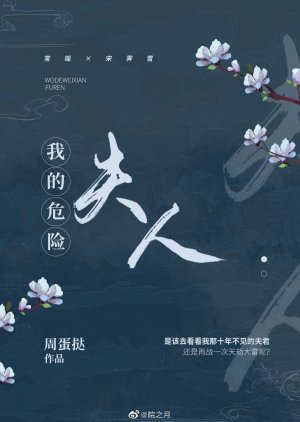 Wo De Wei Xian Fu Ren () poster