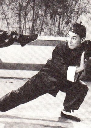 Wong Fei Hung Tries His Shadowless Kick (1954) poster