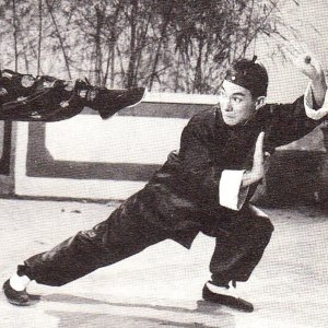 Wong Fei Hung Tries His Shadowless Kick (1954)