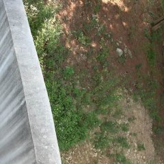 Poets′ Window Korean Movie photo