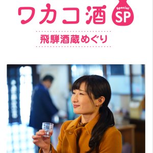 Wakako Zake Special Hida Sake Brewery Tour (2020)