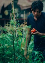 Taste of Tomato Hong Kong Movie photo