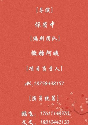 Hua Xin Wang Ye Gong Lue () poster