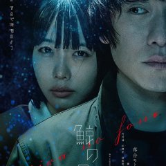 Kujira no Hone Japanese Movie photo