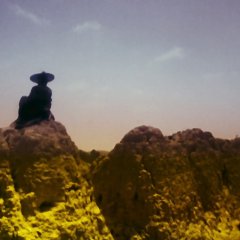 Ashes of Time Hong Kong Movie(1994) photo