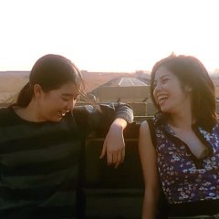 Swallowtail Butterfly Japanese Movie photo