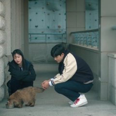 Revenge of Others Korean Drama photo