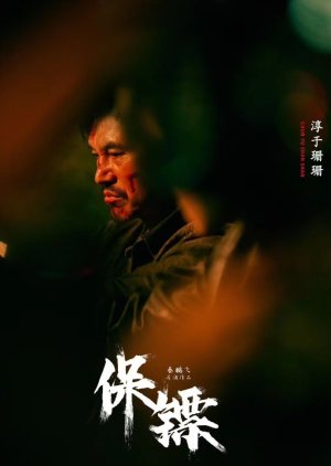 Bao Biao () poster