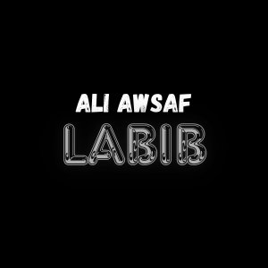 Ali Awsaf Labib