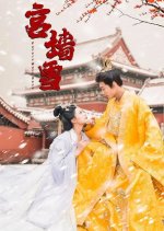 Palace Wall Snow Chinese Drama photo