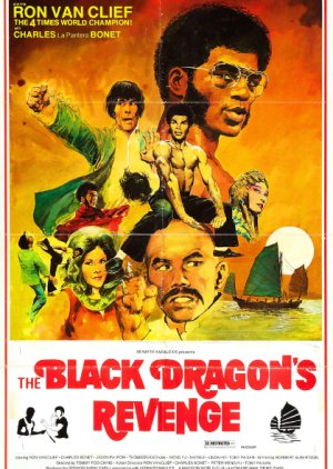 The Black Dragon's Revenge (1975) poster