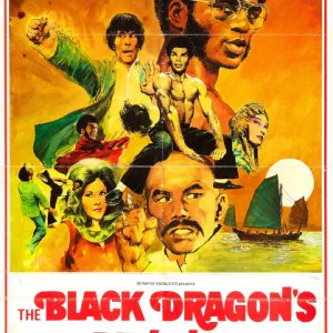 The Black Dragon's Revenge (1975)