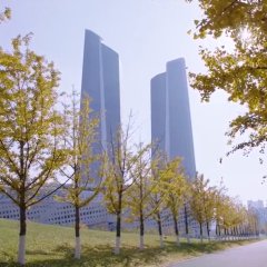 You Are My Hero (2021) photo