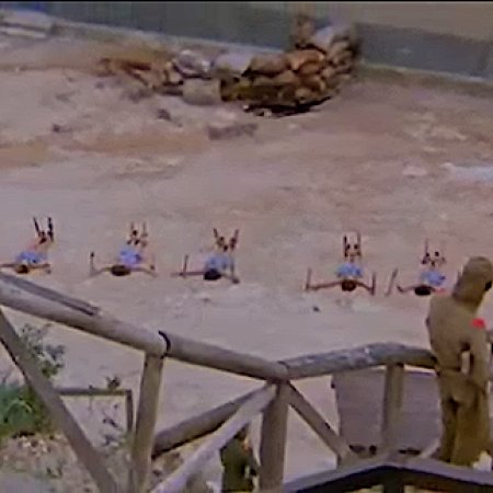 The Bamboo House of Dolls (1973)