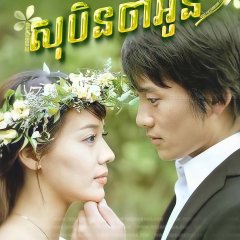 Save the Last Dance for Me Korean Drama(2004) photo