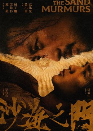 Sha Hai Wu Men () poster