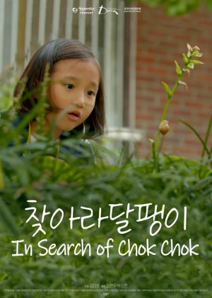 In Search of Chok Chok (2020) poster