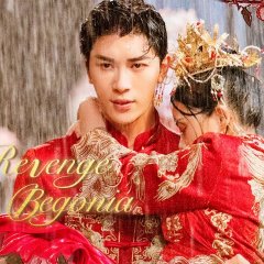A Vingança de Begônia Chinese Drama(2024) photo
