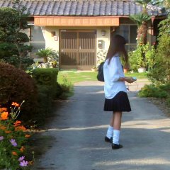 All about Lily Chou Chou Japanese Movie photo