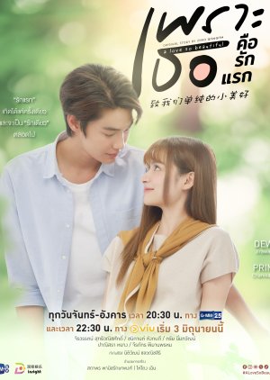 A Love So Beautiful (2024) poster